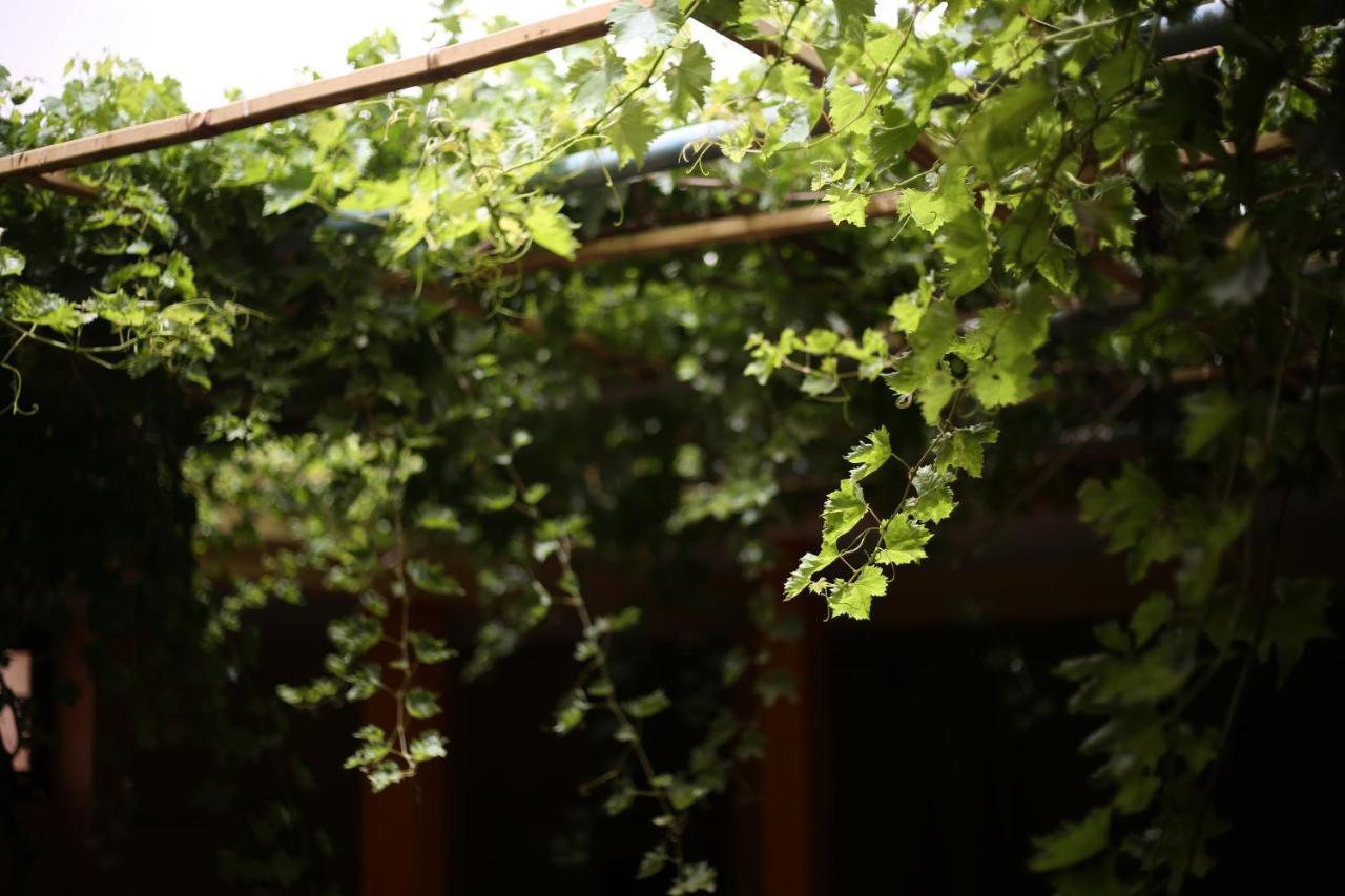 Auberge Jaafar Midelt Εξωτερικό φωτογραφία